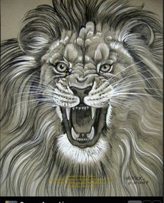 236x291 How To Draw A Lion Roaring, Roaring Lion, Step By Step, Safari