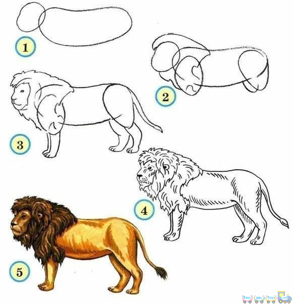 583x604 Drawing Yourself 20 Very Simple Animal Pics