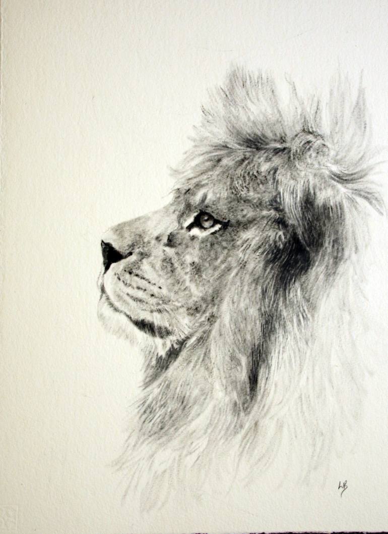 770x1058 Saatchi Art Barbary Lion Oil Sketch Painting By Lauren Bissell