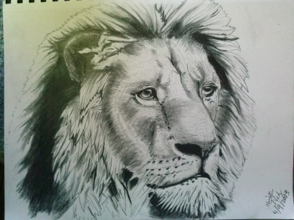 1024x768 More Detailed Lion Sketch By Hellheaven17