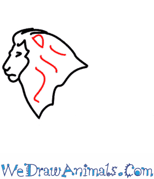 300x350 How To Draw A Lion