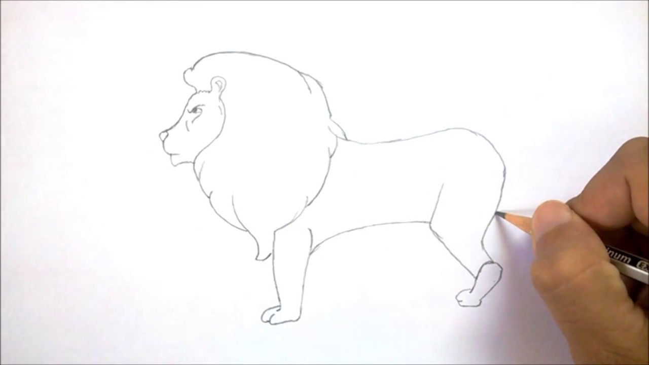 1280x720 How To Draw A Lion Step By Step In Pencil