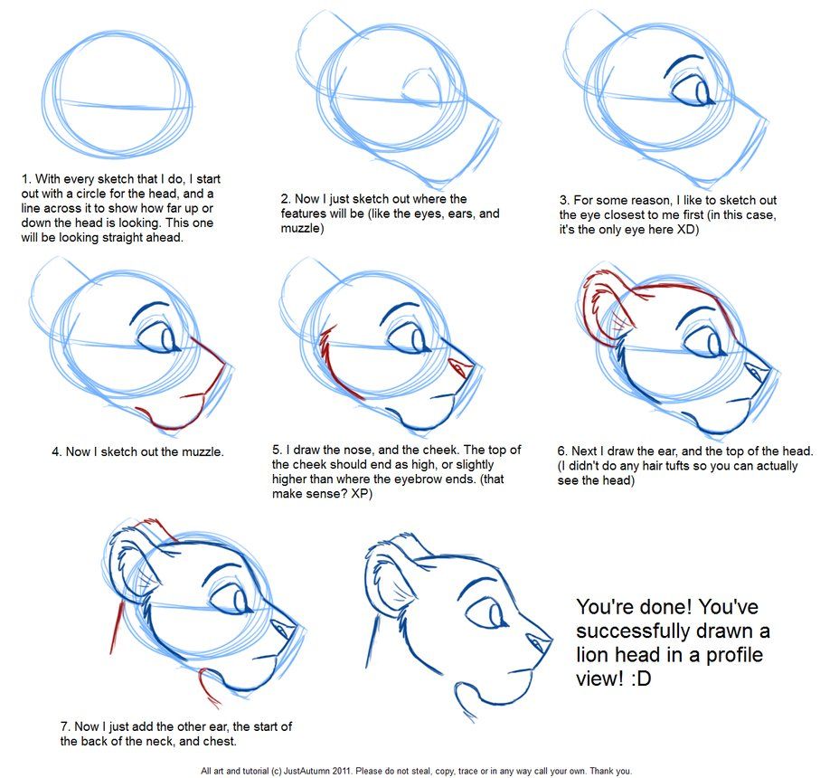 928x860 How To Draw Feline Profile Tutorial By Justautumn