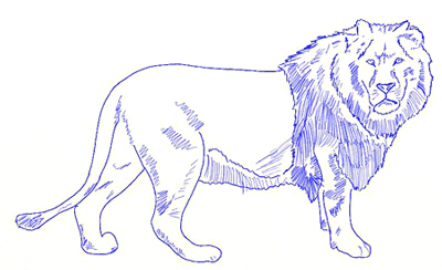 400x244 How To Draw A Lion