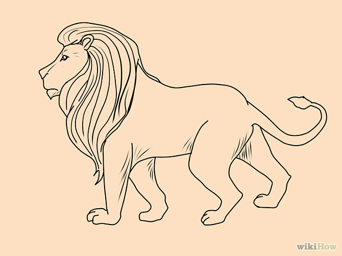 670x503 Lion Drawing For Kids Step By Step