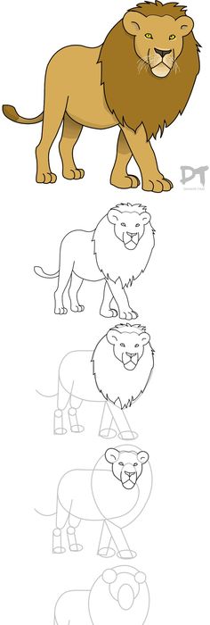 236x700 How To Draw A Lion In 13 Steps How To Draw Drawing