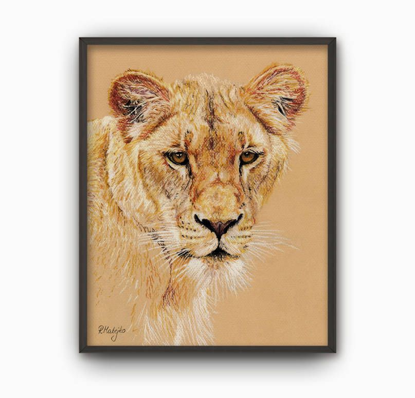 807x775 Lion Print From Original Pastel Pencil Drawing