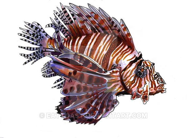 600x443 Lionfish By Eattoast
