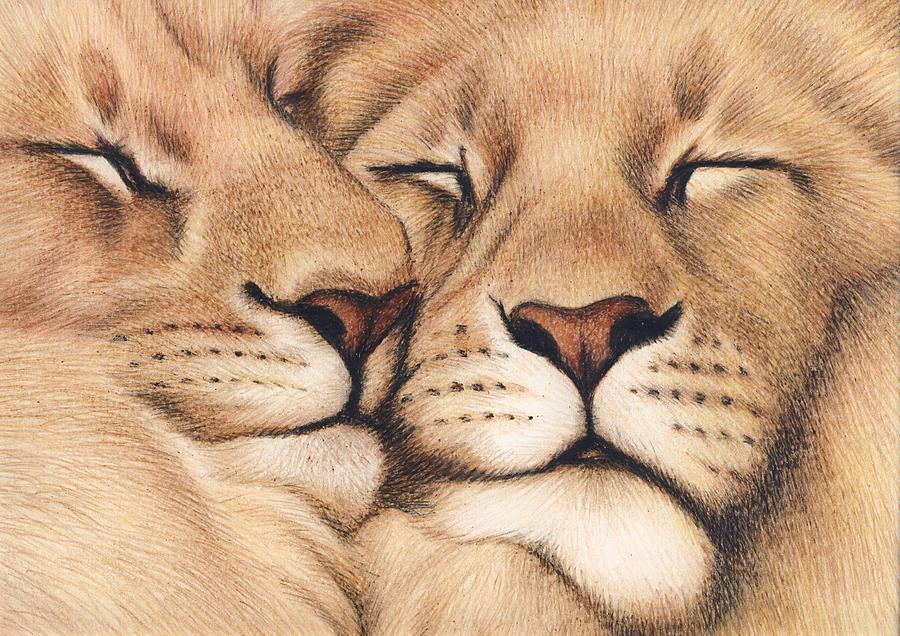 900x636 Lions In Love Drawing By Genevieve Desy