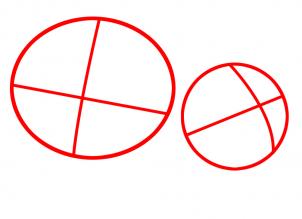 302x219 How To Draw How To Draw Lions For Kids