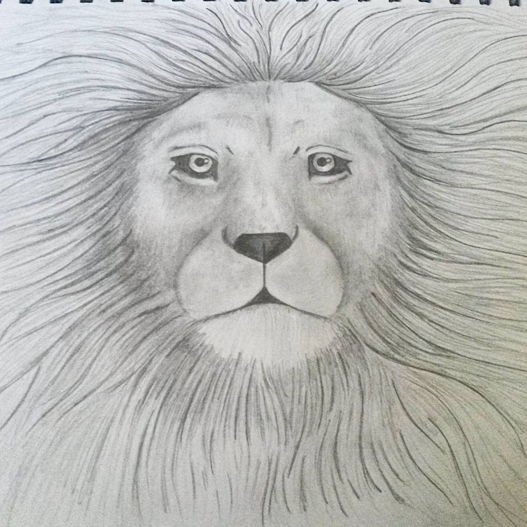 1080x1080 Majestic Artistry My Awkward Lion Face Drawing It's Been Done