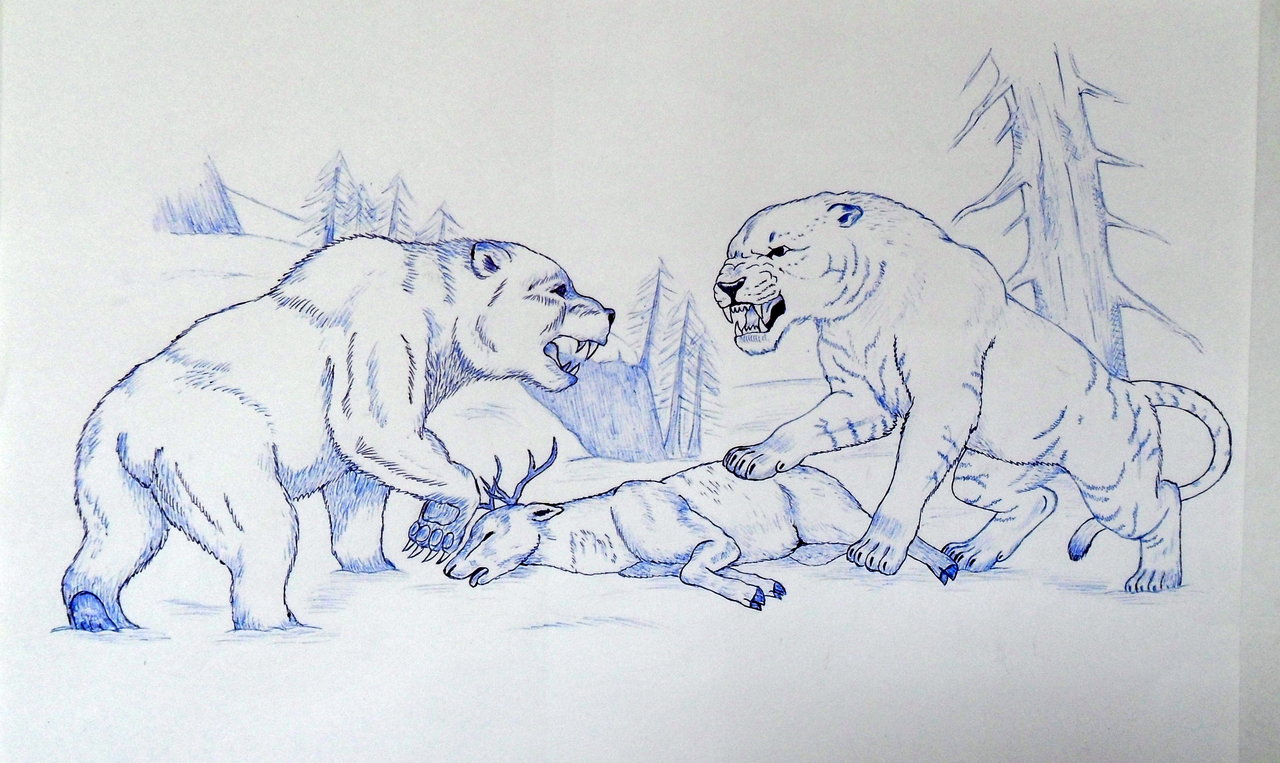 1280x763 Cave Lion Vs Cave Bear By Javor911