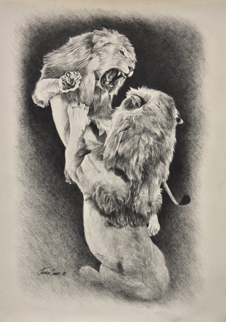 718x1024 Fighting Lions