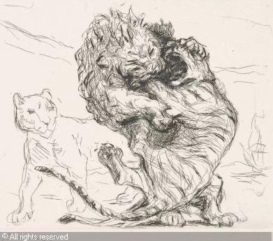 391x345 Lion's Vs Tiger's Who Is The Superior Fighter In The Wild