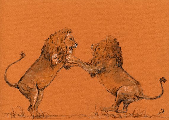 Lions Fighting Drawing at GetDrawings | Free download