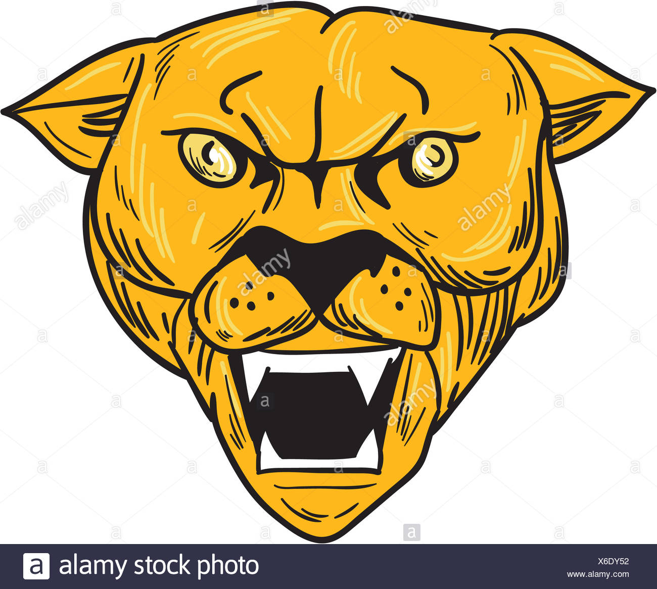 1300x1166 Angry Lion Drawing Stock Photos Amp Angry Lion Drawing Stock Images