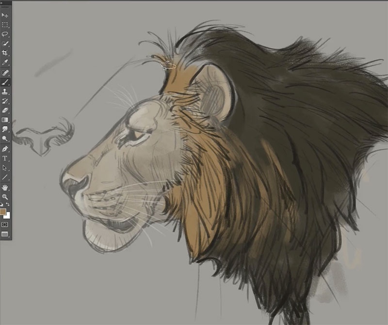 800x671 How To Draw Big Cats