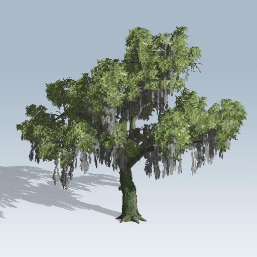 512x512 Live Oak (V7)