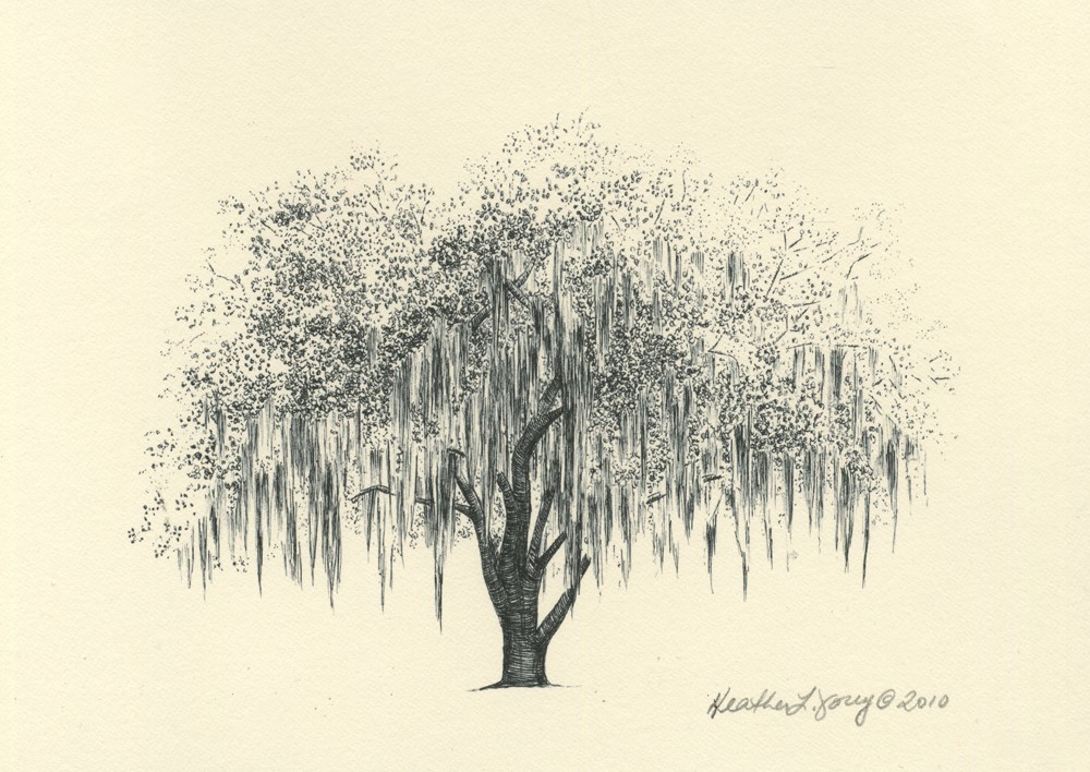 1000x708 Savannah Live Oak Tree Pen And Ink Drawing Print