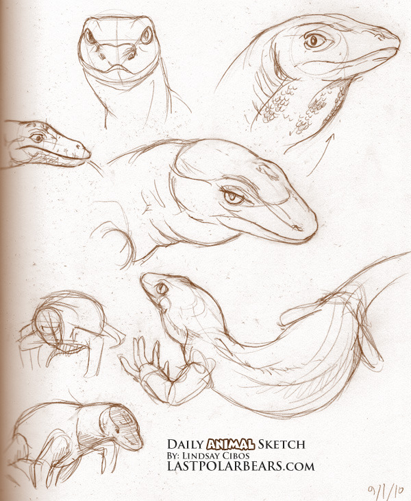 600x730 Fuck Ton Of Anatomy References Reborn A Somewhat Workable Fuck