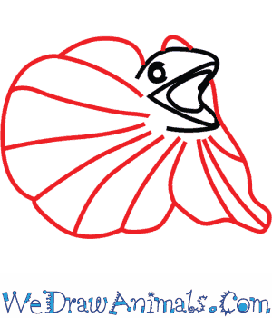 300x350 How To Draw A Frilled Lizard