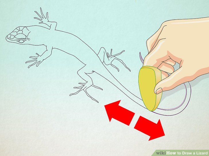 728x546 How To Draw A Lizard (With Pictures)