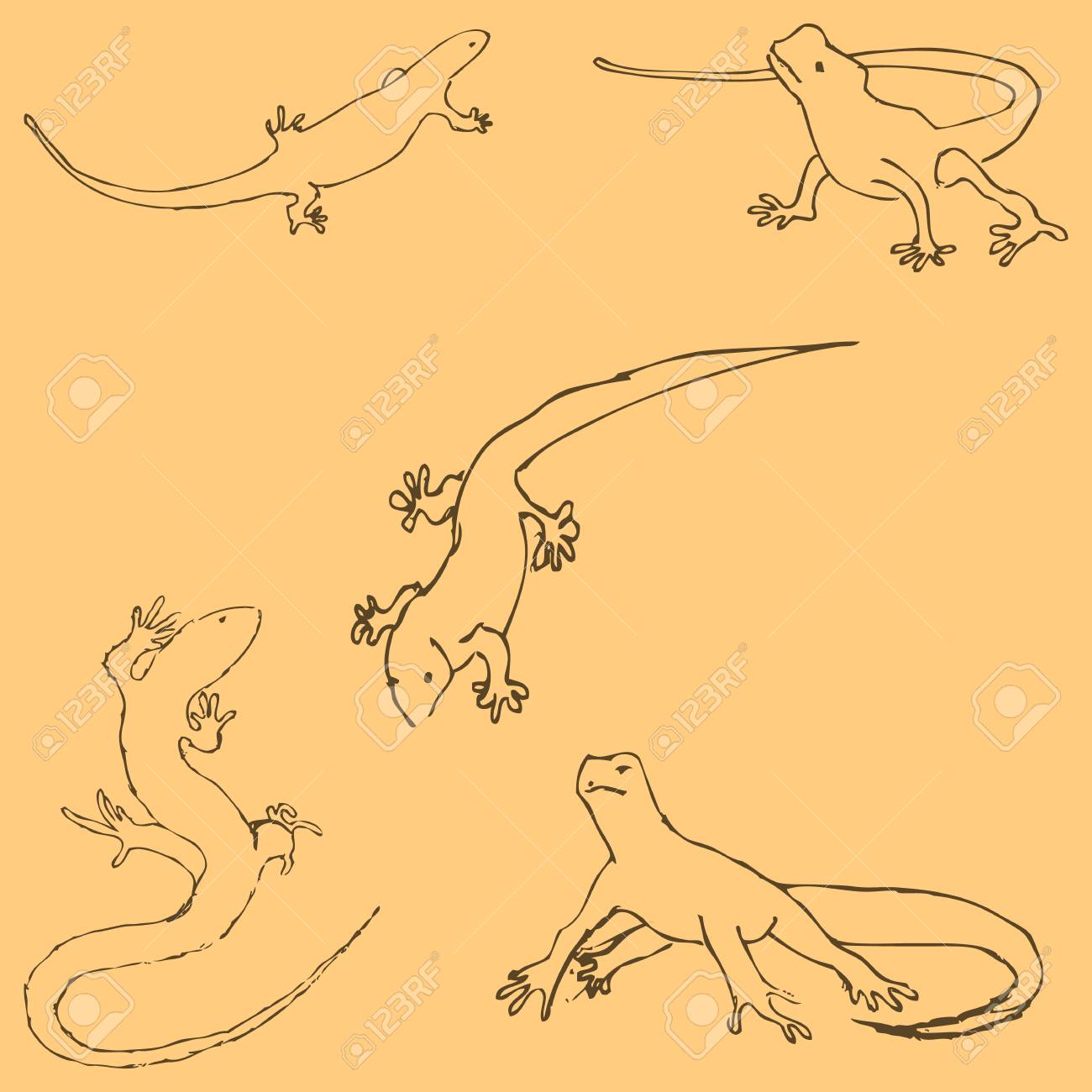 1300x1300 Lizards. Sketch By Hand. Pencil Drawing By Hand. Vector Image
