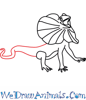 300x350 Frilled Lizard 07.png