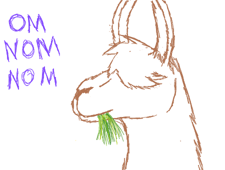 450x340 A To Draw Lama