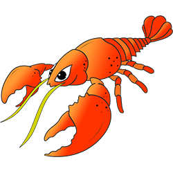 250x250 Cartoon Lobster Step By Step Drawing Lesson