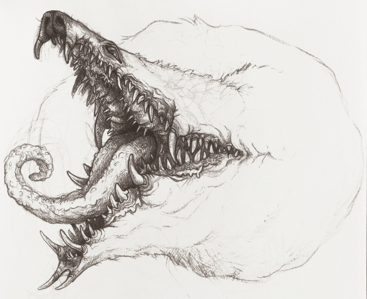 1280x1042 Drawing Lobster