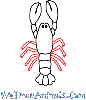 300x350 How To Draw A Lobster