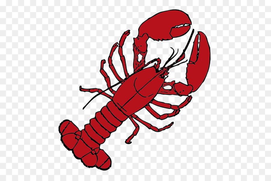 900x600 Maine Lobster Roll Drawing Clip Art