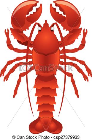 310x470 Vector Lobster Illustration Vectors