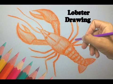 Lobster Drawing For Kids at GetDrawings | Free download