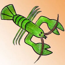 220x220 How To Draw Sea Animals