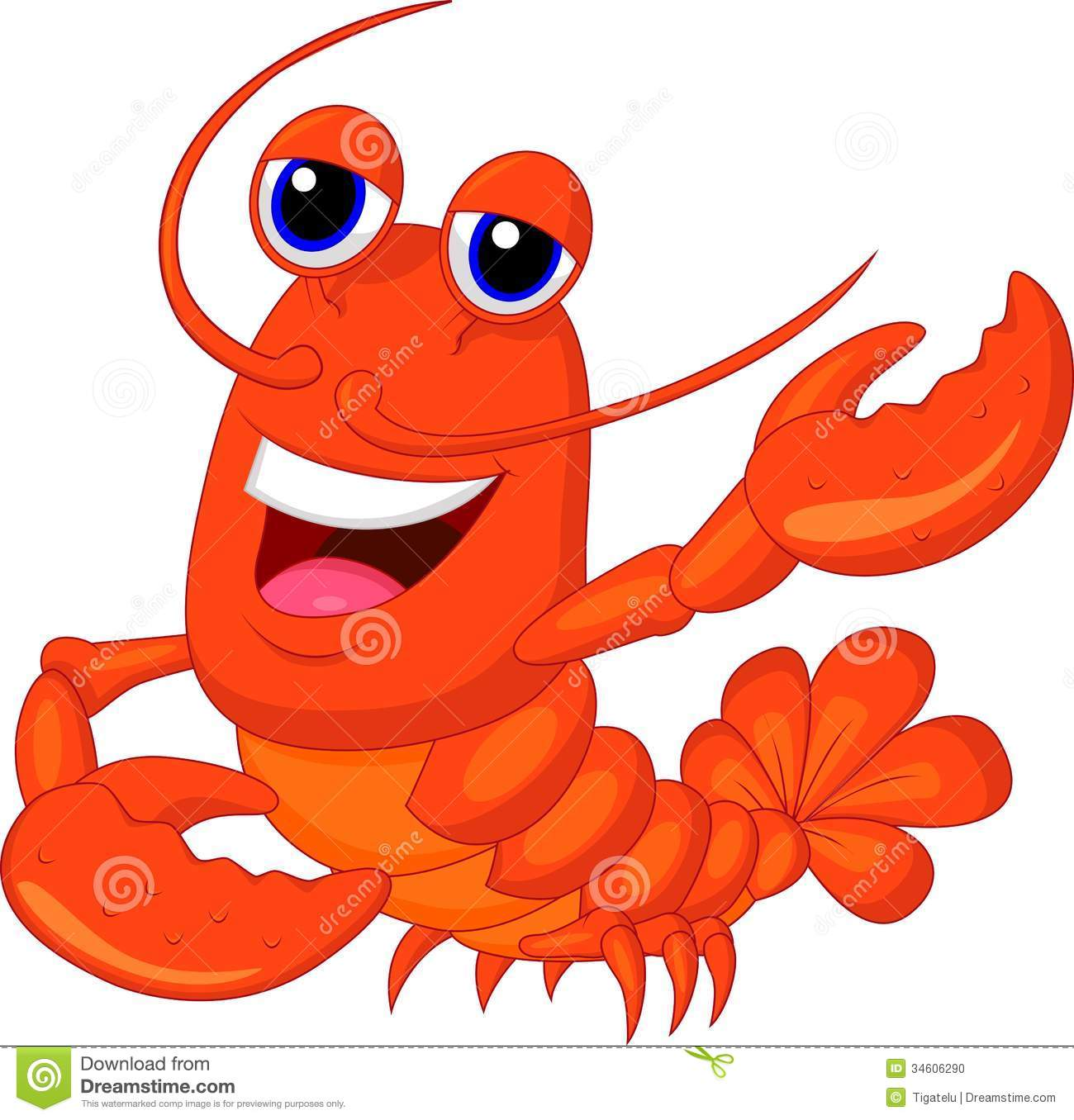 1300x1356 Lobster Pictures