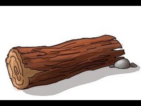 480x360 How To Draw A Log