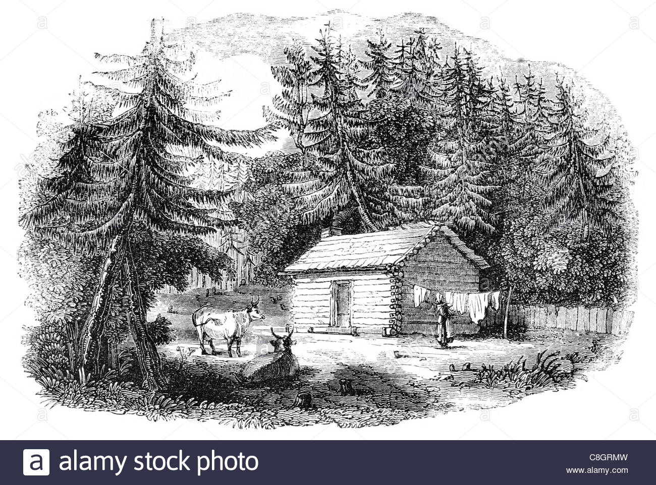 1300x962 Historic Log Cabin Black And White Stock Photos Amp Images