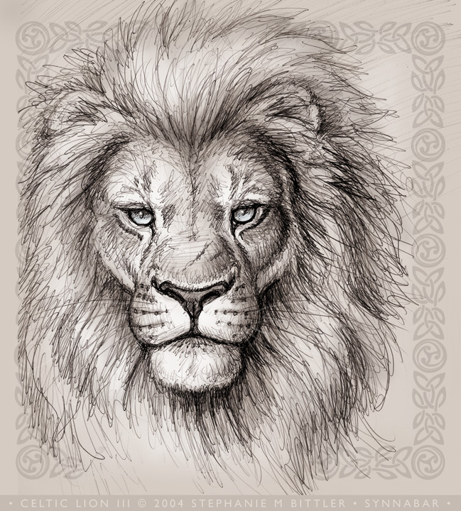 649x720 Celtic Lion Iii By Synnabar
