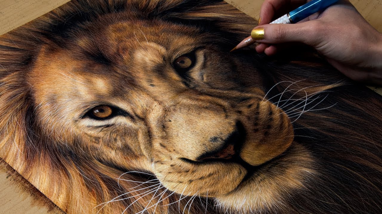 1280x720 Drawing A Lion