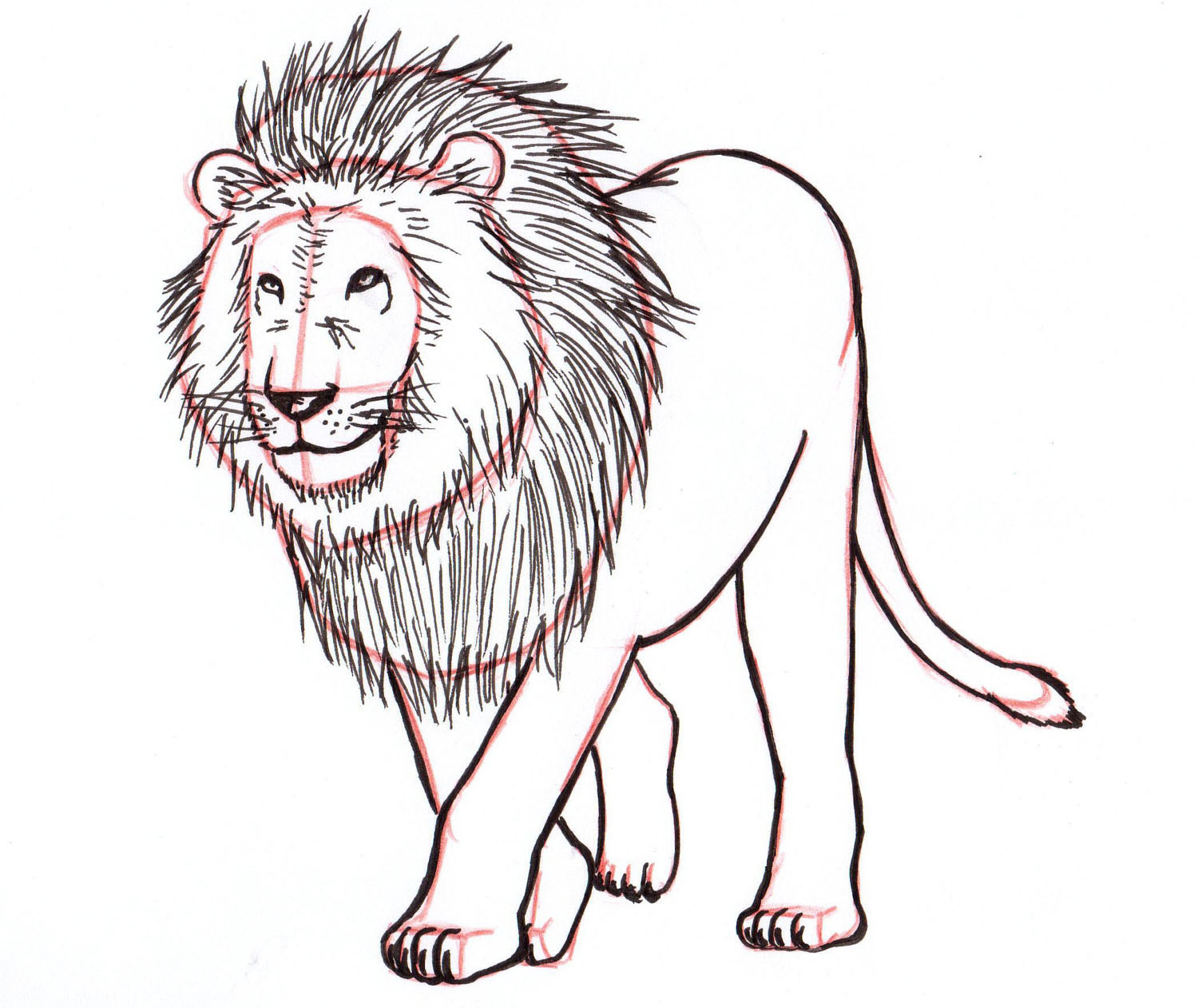 1500x1262 How To Draw A Lion Step By Step