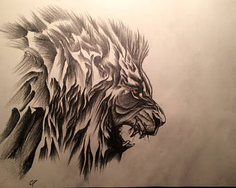 340x270 Lion Pencil Drawing Etsy