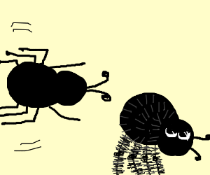 300x250 Spider Olympics! Jumping Spider Wins Long Jump (Drawing By Jana727864)