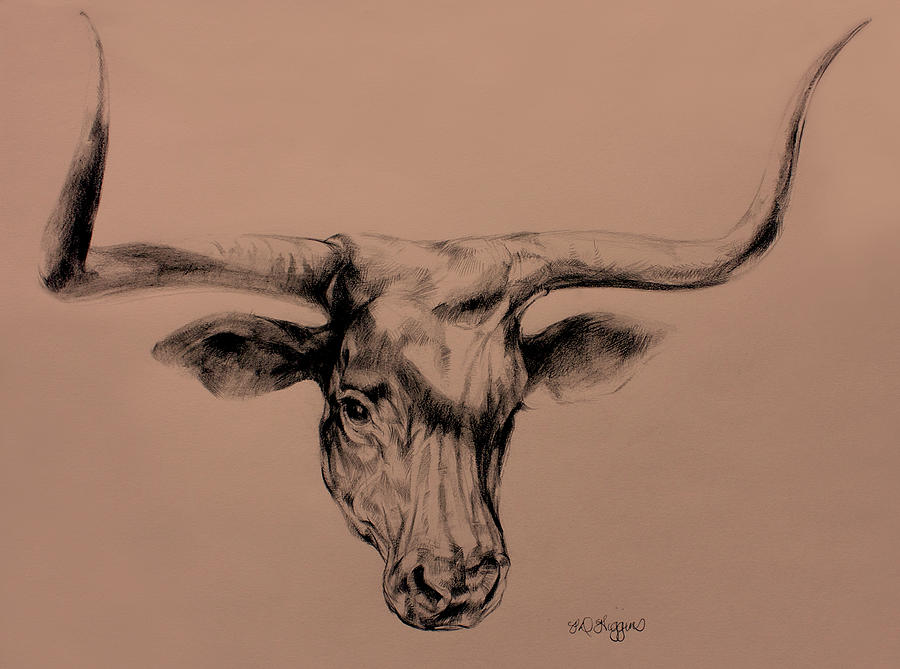 900x669 Longhorn Drawing Drawing By Derrick Higgins