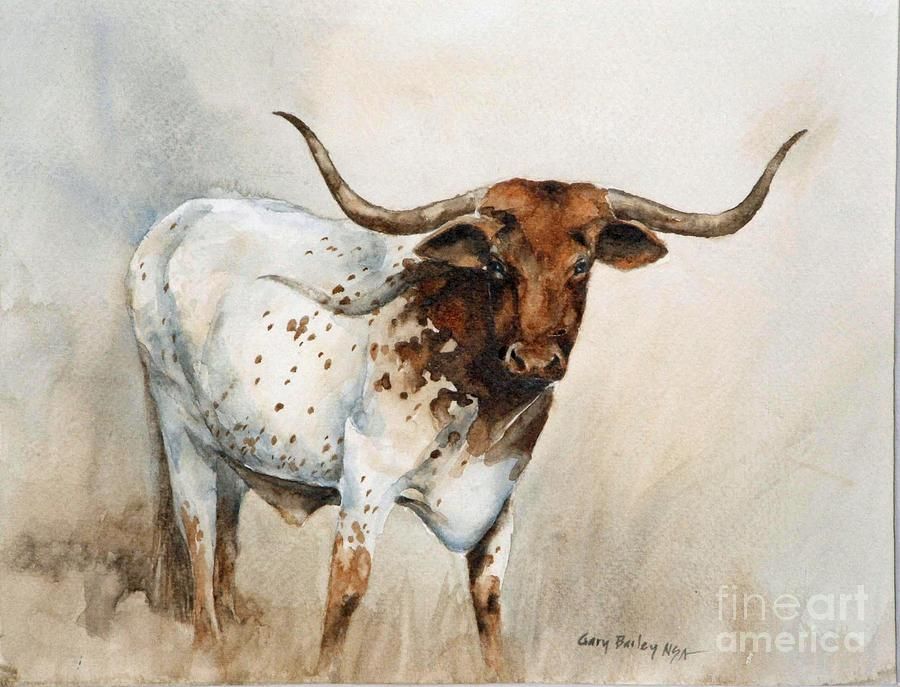 900x687 Texas Longhorn Canvas Print Canvas Art By Gary Bailey Texas