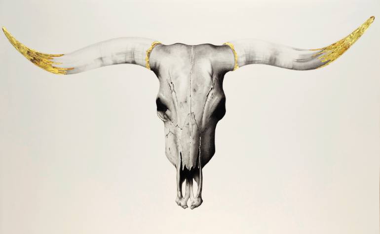770x473 Saatchi Art The Longhorn Drawing By Elizabeth Waggett