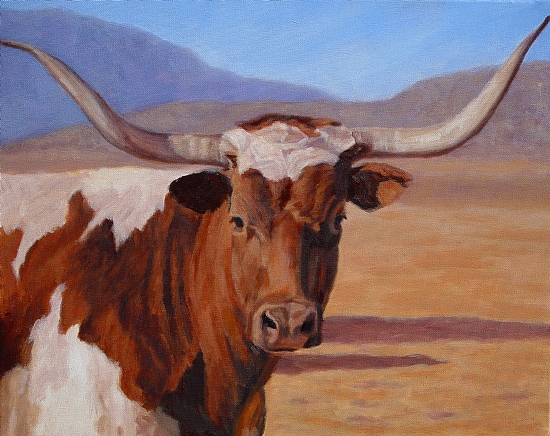 550x436 Love My Longhorns {{Just Because}} Texas, Cow