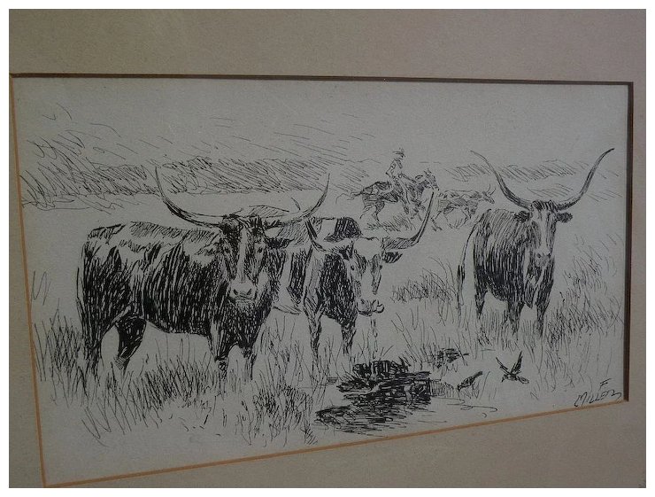 740x561 Southwest Art Signed Ink Drawing Of Longhorn Cattle Possibly New