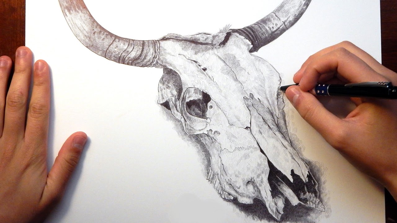 1280x720 Ballpoint Pen Drawing Bull Skull